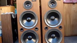 how sound TECHNICS  Twin woofer SB-A53 speakers