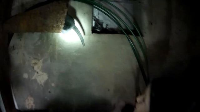 Сиреноголовый и Картун Кэт.Часть 2.