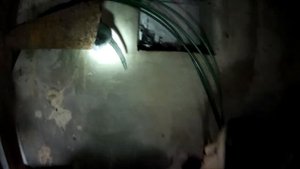 Сиреноголовый и Картун Кэт.Часть 2.