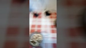 Готовлю кофе с майонезом. Шок вкус.#эксперимент#номер1