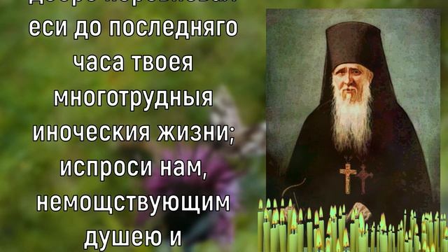 Лечение и исцеление всего организма смотреть онлайн