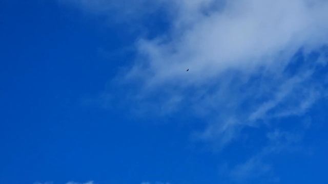 Голуби прожить год это подвиг смотреть онлайн