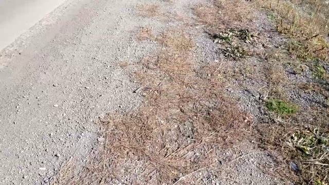 Сбор металлолома вдоль дорог. Что можно найти?