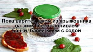 КАК ПРИГОТОВИТЬ ДЖЕМ ИЗ КРЫЖОВНИКА? Быстрый и простой джем из крыжовника на зиму