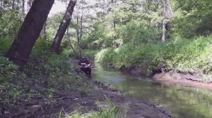 Спит Сион Духовный стих под Гусли / Гусляр Андрей Андреев 2020 г.