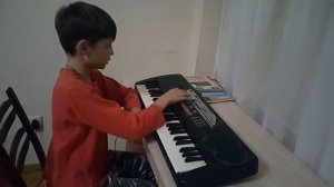 Стоит ли покупать электронное пианино для начинающих?