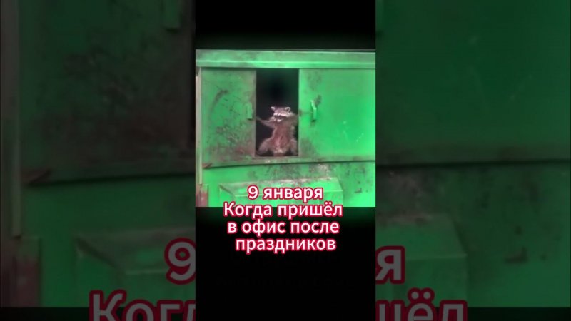 9 января когда пришел в офис после праздников