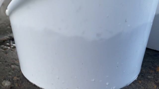 Зелёное черенкование голубики без теплицы. Самый простой и надёжный способ.
