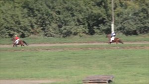 Рысь под седлом. Для лошадей орловской породы. БСК 4 этап. Барнаульский ипподром 2017