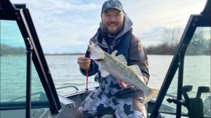 Такого не ожидали. Судак на каждой проводке. Рыбалка на Дону в конце ноября.