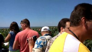 Собираем семена лотоса. Как выглядят семена лотоса.