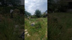3 часть Продам участок СНТ "Тюльпан " 6 соток с домом и баней на берегу залива Калининградск обл .