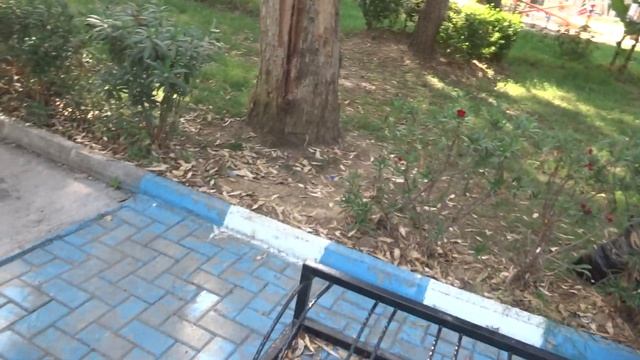 ALANYA Махмутлар 5 сентября Прогулка по центру Mahmutlar Алания
