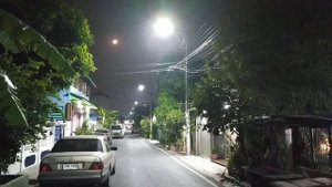 В мире животных: летучие мыши