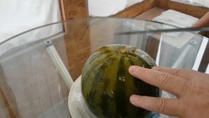 Очень вкусные квашеные арбузы! Пальчики оближешь! Ч2