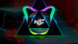 BASS! пісня (путник страданий)