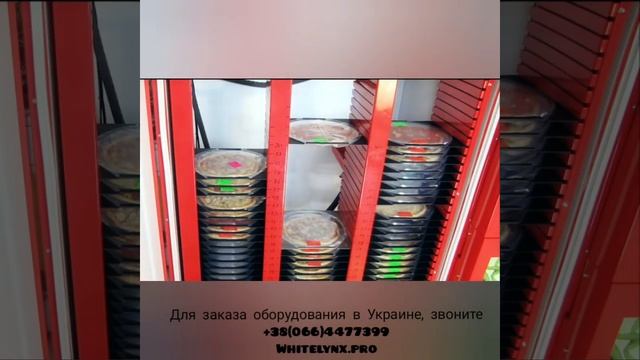 Пиццемат