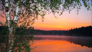 А  Фет Певице #стихиорадости #поэты19века