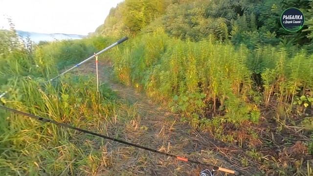 Рыбалка с Дядей Сашей — насадка на крючок на леща. Рыбалка на фидер. Десна и ловля леща на фидер смотреть онлайн