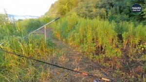 Рыбалка с Дядей Сашей — насадка на крючок на леща. Рыбалка на фидер. Десна и ловля леща на фидер