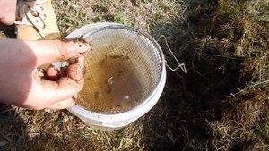 КАК МЫТЬ МОТЫЛЯ ВЕСНОЙ ДЛЯ РЫБАЛКИ