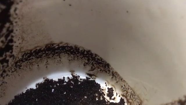 ЧАШКА ДНЯ. Гадание на кофейной гуще и картах таро на события ближайшего будущего.