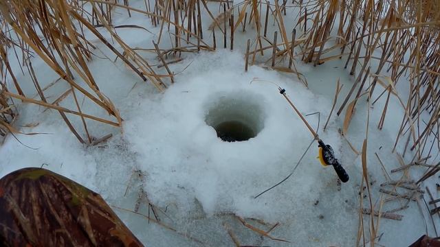 Зимняя рыбалка в Саратовской области. пруд; Тарлык, пруд; Ирригация. Ловим карася. смотреть онлайн