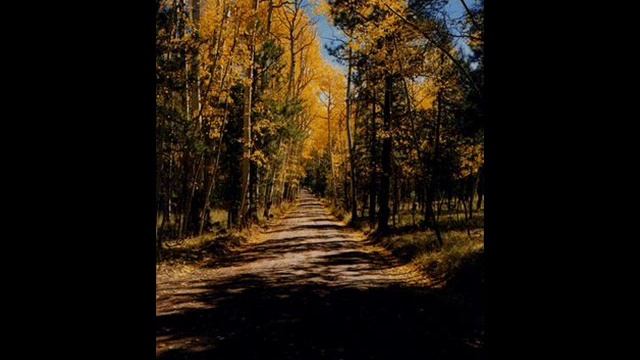 Irina Zaritskaya plays Chopin Mazurka смотреть онлайн