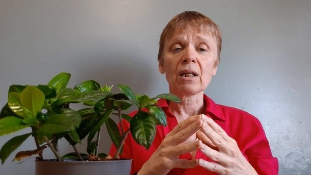 Как изменить своё финансовое состояние? Что так можно!