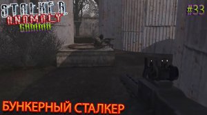 БУНКЕРНЫЙ СТАЛКЕР | STALKER ANOMALY GAMMA | Серия 33