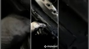 Каминз на газ 3307