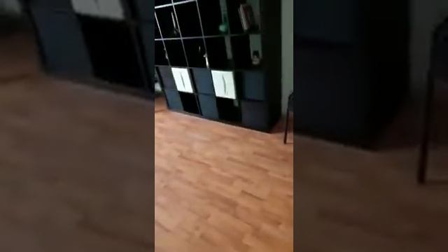 Сакко и Ванцетти 47 3 квартира АРЕНДА смотреть онлайн