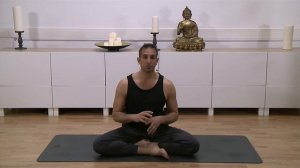 Ashtanga Yoga Adjustment Videos with Ryan Spielman