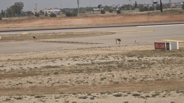 Аэропорт Анталия Antalya Airport