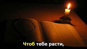 Библию читай каждый день