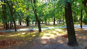 Футаж Осенний Парк. Осенние Футажи. Начало Осени. Футажи для видеомонтажа. Видеофутажи