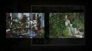 Цветы в интерьере квартиры