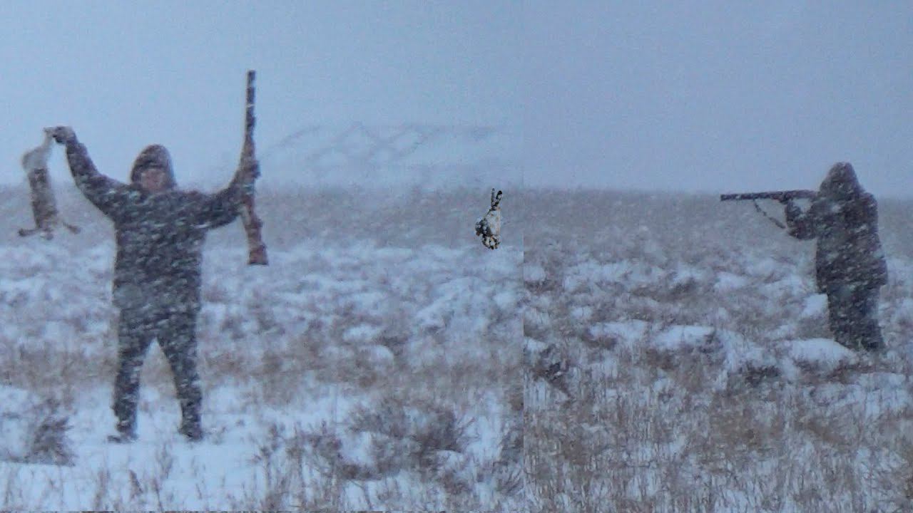Охота на зайца в непогоду. Зайцы не спят в метель?