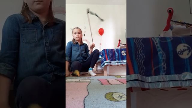 как приучить котенка к лотку и к когтеточки ну и какий игрушки можно купить котёнку смотреть онлайн