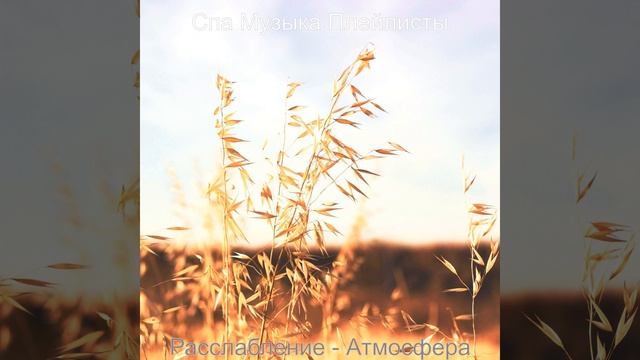 Настроения (Санаторно-курортное лечение) смотреть онлайн