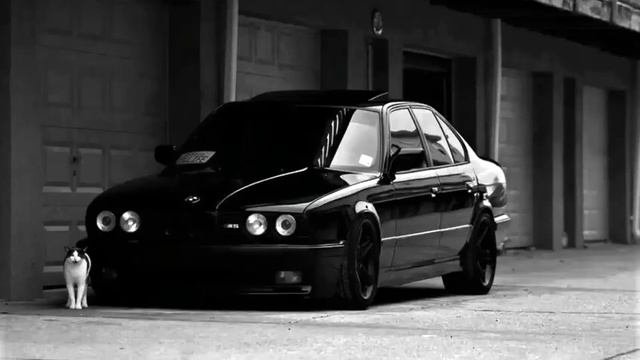 БУЙНО ГОЛОВА (SLOWED REMIX)