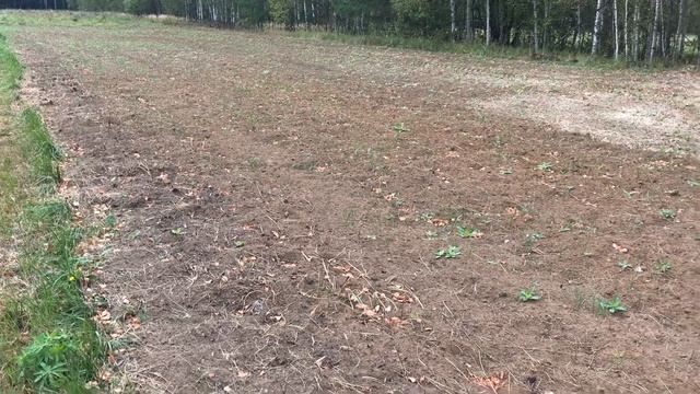 Внесение доломитовой муки смотреть онлайн