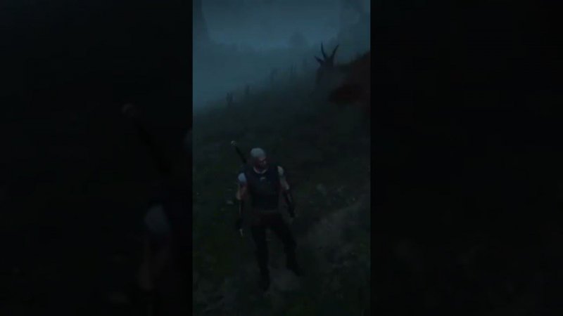 The Witcher 3 Wild Hunt и лось с яйцами. #TheWitcher3WildHuntприколы
