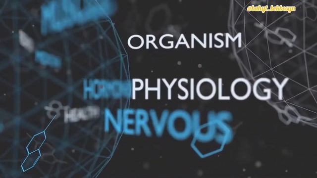 АРТЫҚ САЛМАҚ ТОЛЫҚТЫҚ СЕМІЗДІК АЗ ЖЕСЕМ ДЕ САЛМАҚ КЕТПЕЙДІ неге???