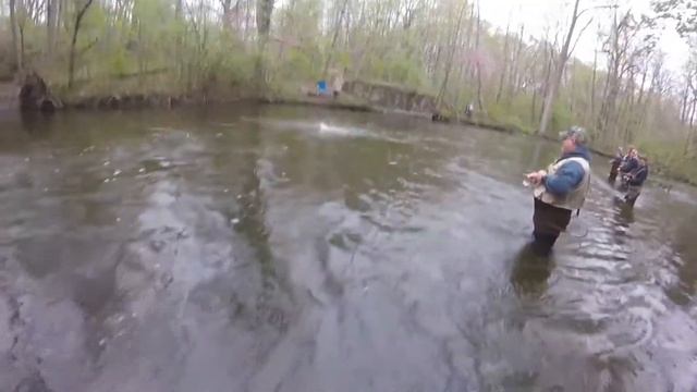 Trout fishing in Mongo смотреть онлайн