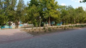 Поездка на море. Это лучший подарок. Парк Поддубного.