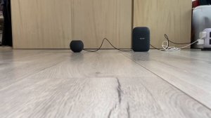 Apple HomePod mini v.s Google Nest Audio