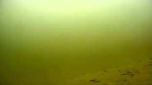 Сазаны и караси съемки под водой на глубине 4,5 метра. Малые речки России