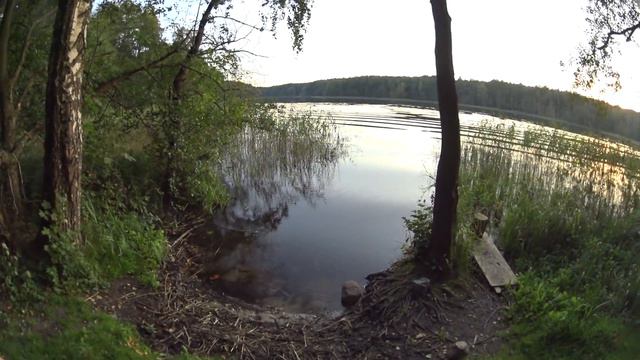 Одиночный велопоход по Красному лесу. часть2