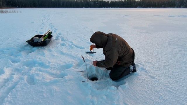 Рыбалка на озерах Архангельской области.Ловим на жерлицы. смотреть онлайн